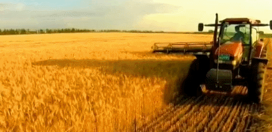 ����Ҫ����Щ���� ֵ�������濴һ����