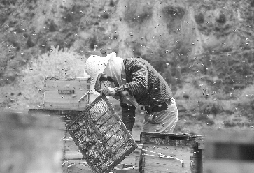 ʯ¥��:����ʱ������æ ��