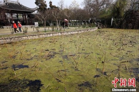 ��2020���й���Ҫ���Ӻ���ˮ������ˮ�ʴ���ʳ�80%