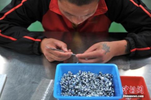 最高检通报防治校园欺凌暴力 前11月批捕1114人