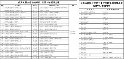 ɽ��ʡȫ��������Ƿũ�񹤹�������Э���쵼С��칫������ṫ���ش�Ƿн�����永��λ��������