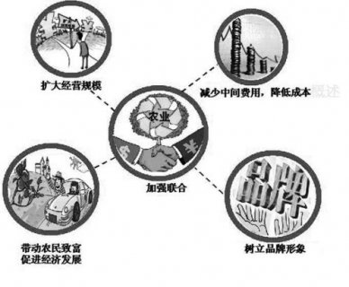 ũ��רҵ�����������֮·