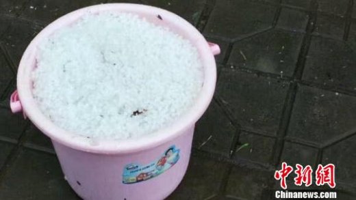 ���Ͼ��ȣ�ǿ�����������������ֺ� ������ֱ��Լ11����