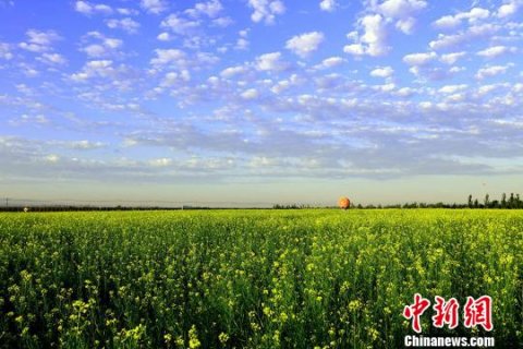 ���Ҽ���������Ȫ�����ɱ䣺��չ�еġ���ɫ��ս�����˲�ҵ������