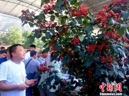 �����䶼�����Ѵ����Ķ ��С���ϡ����ɡ����ҵ��