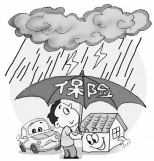 ɽ������֣��������ա���������