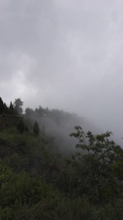 ���������ϸ�ձ���������г����幤ҵ��������ƶ������·��