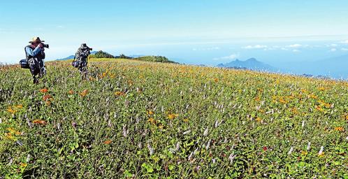 ����������