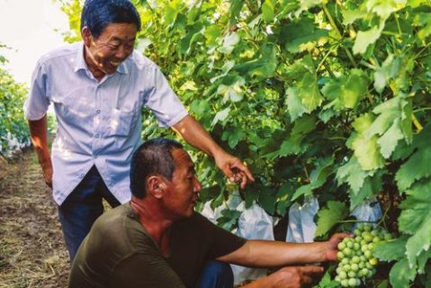 ����ε���ũ�嵳֧����ǡ�����ɤ�� ������������