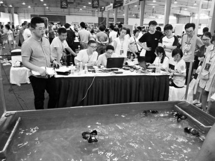 ɽ��ˮ�л����˻�����