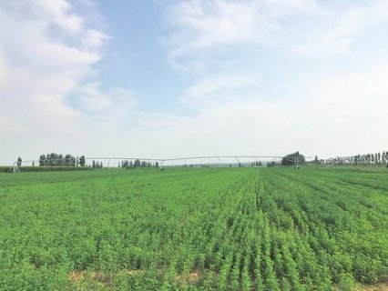 ɽ�������챱��ũ������������ˡ�