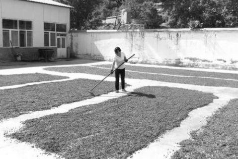 ����� ��н�� �ֹɽ𡪡���