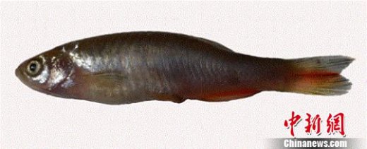 ��ѧ�������׽������ֵ�ˮ����2���¼�¼