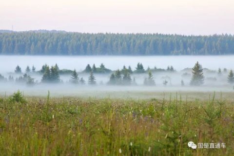 塞罕坝获联合国“地球卫士奖”,中国还有这些故事