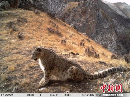 ���׽�Դ������̬�ܻ���ģʽ