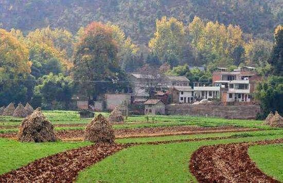 乡村凋敝?十三种模式探路乡村“新治理”