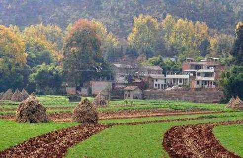 ����֣�ʮ����ģʽ̽·��塰��������