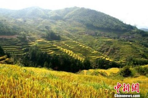 �㽭��Ԫ��ǧ���ټơ���������� 83���塰ժñ��