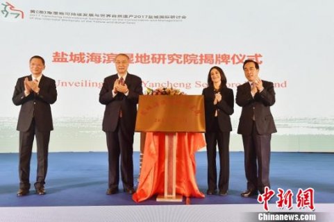 世界自然遗产国际研讨会在盐城召开 推动黄(渤)海湿地申遗