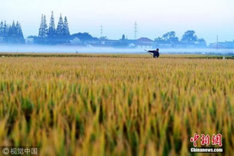 ����ͳ�ƾ֣�ũҵ������Ӫ��Ա�������� �������