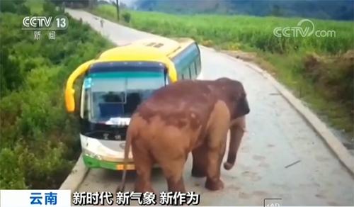 ��ʱ������������Ϊ���й�ģʽ�����羳��̬��