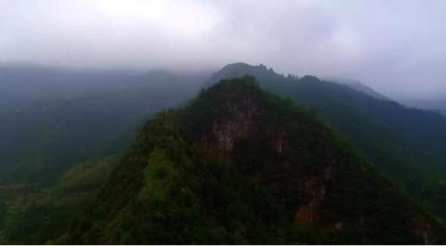 �й��������������������γ���75�������Ӫ��ȴ������֪