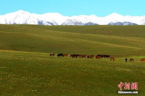 祁连山古浪段生态环境保护14个整改项目通过复核验收