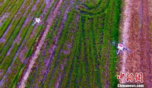 农业部:中国农药使用量已连续三年负增长