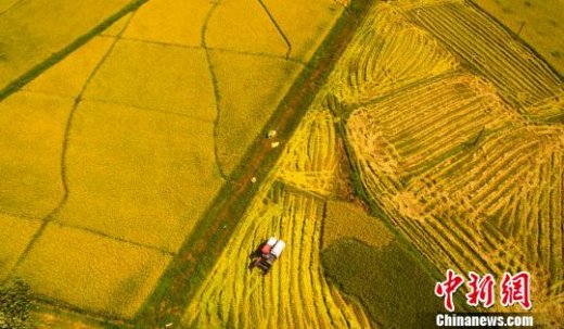 党的十八大以来中国“三农”发展成就综述