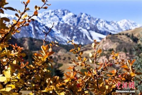 ���������ػ�����ɽ��ˮ����5�����ռ�1.2������