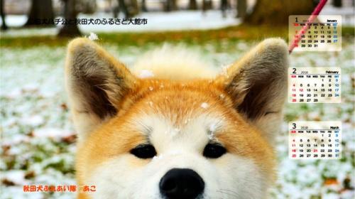 �ձ���Ȯ�˹�����ӭ���� �Ƴ�����Ȯ��������(ͼ)