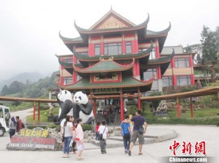 ��д���й�����ӡ���ơ���è�ȡ�����ͼ��