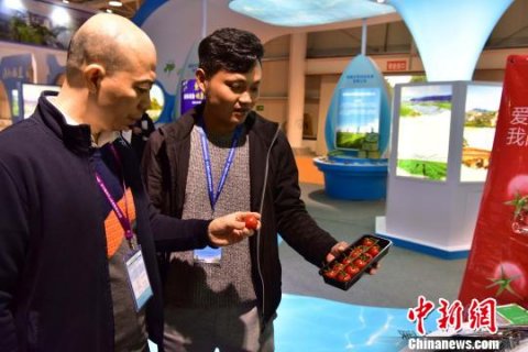 历史文化助推闽北全域旅游深度发展