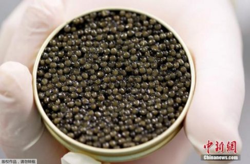 美媒称世界最好鱼子酱系中国制造:一颗鱼卵4元