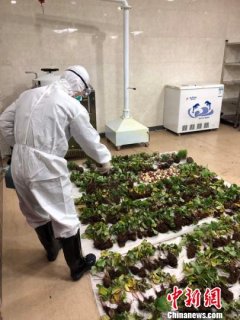 上海口岸今起出入境旅客携带禁止进境物将同时受罚和被征信