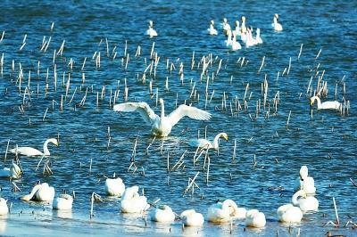 5�������˼��ع���ˮ�� �������һ�������뾩